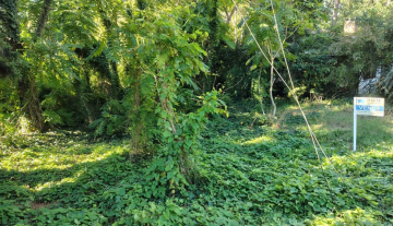 Terreno en Valeria